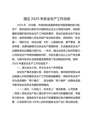 国企2025年安全生产工作总结