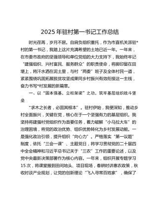 2025年驻村第一书记工作总结