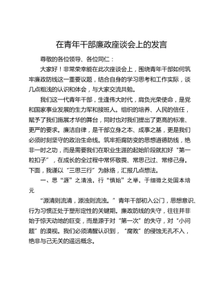 在青年干部廉政座谈会上的发言