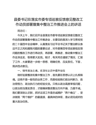 县委书记在落实市委专项巡察反馈意见整改工作动员部署暨集中整治工作推进会上的讲话