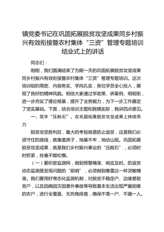 乡镇书记在巩固拓展脱贫攻坚成果同乡村振兴有效衔接暨农村集体“三资”管理专题培训结业式上的讲话