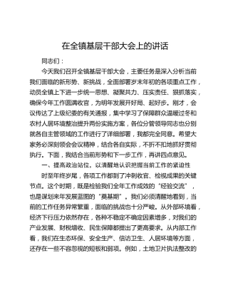 乡镇基层干部大会上的讲话