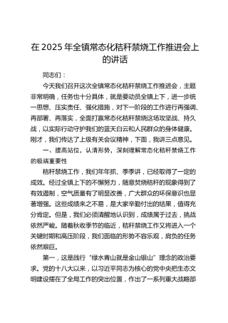 乡镇常态化秸秆禁烧工作推进会上的讲话