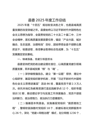 县委2025年度工作总结