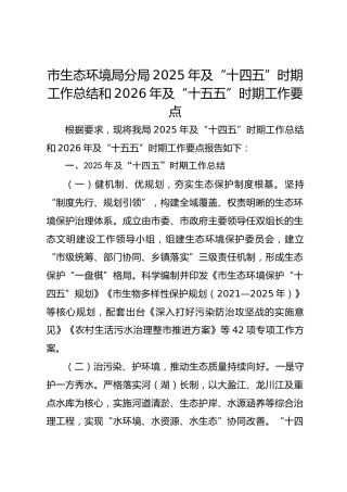 市生态环境局分局2025年“十四五”时期工作总结和2026年及“十五五”工作要点