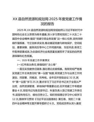 XX县自然资源和规划局2025年度党建工作情况的报告