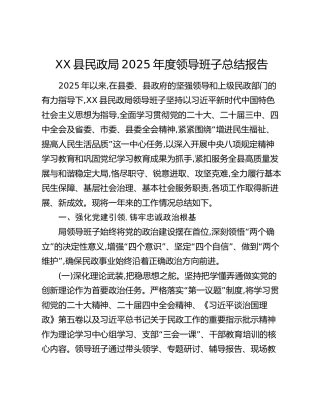 XX县民政局2025年度领导班子总结报告