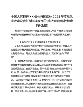 中国人民银行XX省分行国库处2025年度党风廉政建设责任制落实及岗位（廉政）风险防控检查情况报告