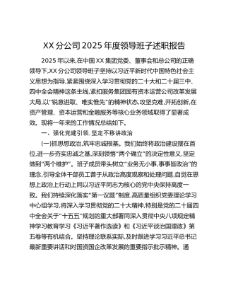 XX分公司2025年度领导班子述职报告