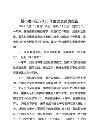 某市委书记2025年度述责述廉报告