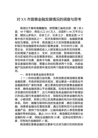 对XX市普惠金融发展情况的调查与思考