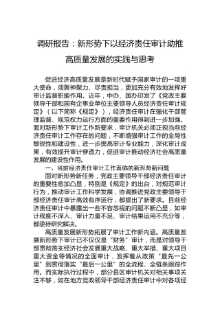 调研报告：新形势下以经济责任审计助推高质量发展的实践与思考