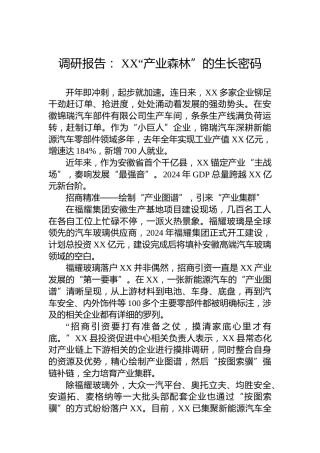 调研报告：XX“产业森林”的生长密码