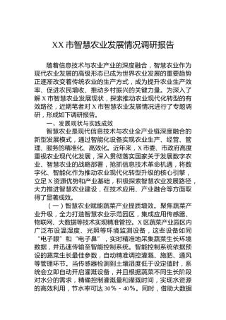 XX市智慧农业发展情况调研报告