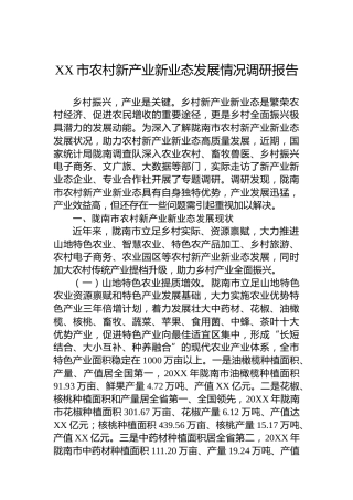 XX市农村新产业新业态发展情况调研报告