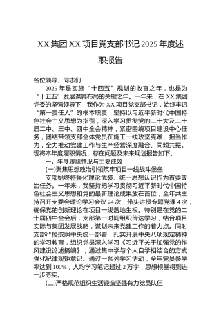 XX集团XX项目党支部书记2025年度述职报告