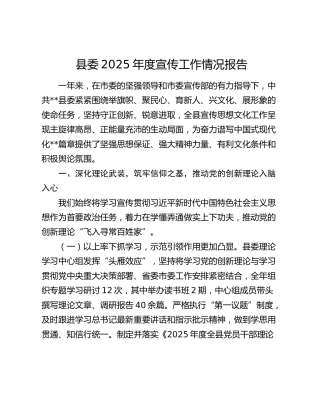 县委2025年度宣传工作情况报告