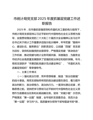 市统计局党支部2025年度抓基层党建工作述职报告
