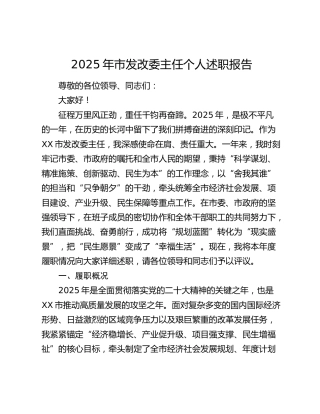 2025年市发改委主任个人述职报告