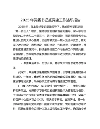 2025年党委书记抓党建工作述职报告