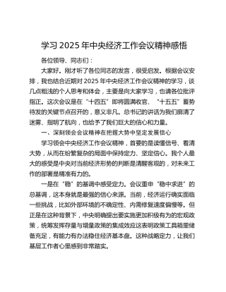 学习2025年中央经济工作会议精神感悟 (2)