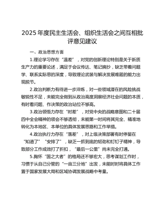 2025年度民主生活会、组织生活会之间互相批评意见建议