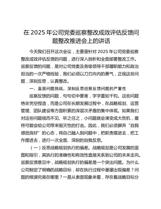 在2025年公司党委巡察整改成效评估反馈问题整改推进会上的讲话