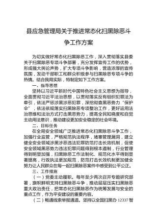 县应急管理局关于推进常态化扫黑除恶斗争工作方案