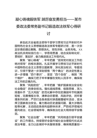凝心铸魂锻铁军踔厉奋发勇担当——某市委政法委常务副书记锻造政法铁军心得研讨