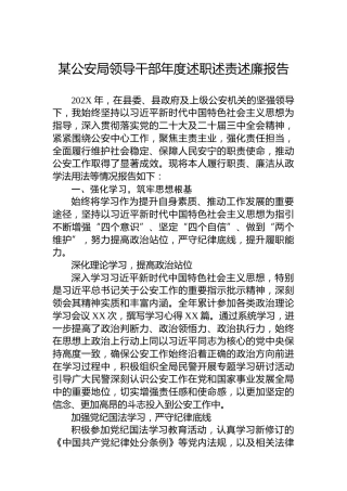 某公安局领导干部年度述职述责述廉报告