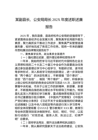 某副县长、公安局局长202X年度述职述廉报告