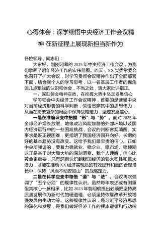 心得体会：深学细悟中央经济工作会议精神在新征程上展现新担当新作为