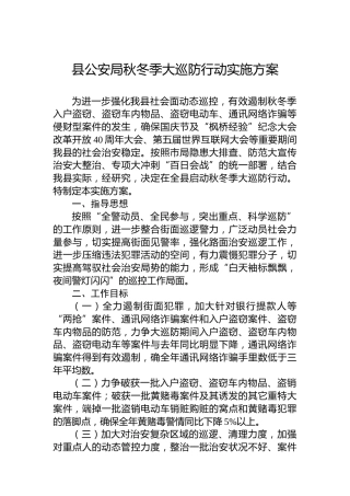 县公安局秋冬季大巡防行动实施方案
