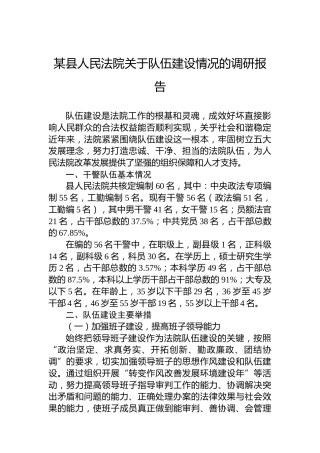 某县人民法院关于队伍建设情况的调研报告