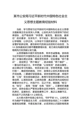 某市公安局习近平新时代中国特色社会主义思想主题教育经验材料