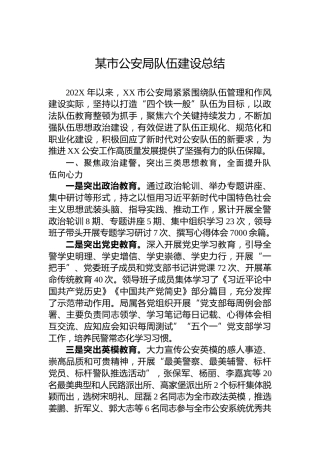 某市公安局队伍建设总结