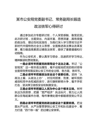 某市公安局党委副书记、常务副局长锻造政法铁军心得研讨