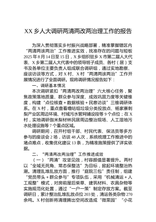 XX乡人大调研两清两改两治理工作的报告