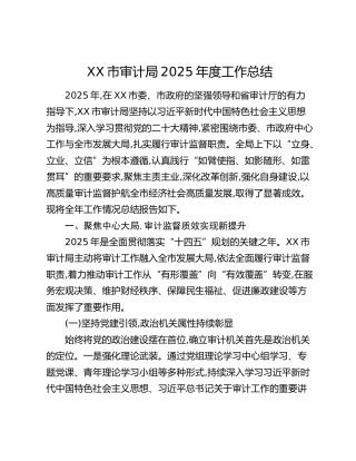 XX市审计局2025年度工作总结