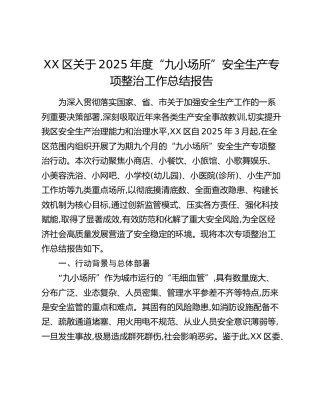 XX区关于2025年度“九小场所”安全生产专项整治工作总结报告