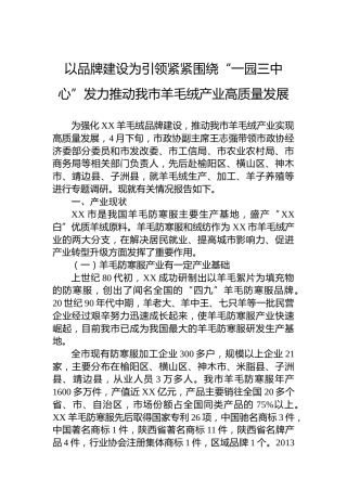 以品牌建设为引领紧紧围绕“一园三中心”发力推动我市羊毛绒产业高质量发展