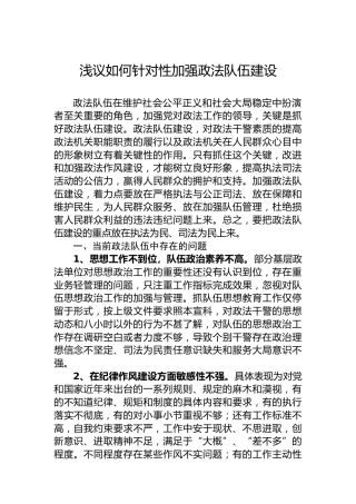 浅议如何针对性加强政法队伍建设