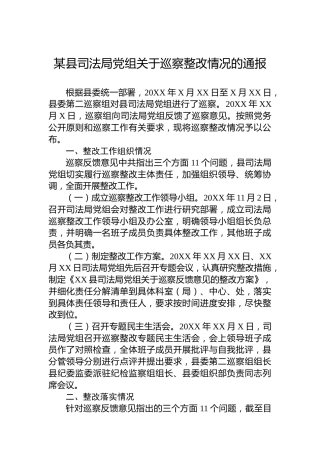 某县司法局党组关于巡察整改情况的通报