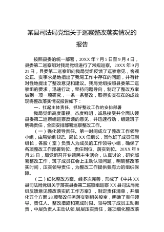 某县司法局党组关于巡察整改落实情况的报告