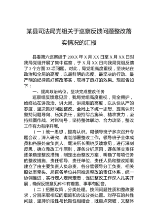 某县司法局党组关于巡察反馈问题整改落实情况的汇报