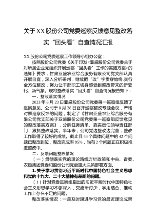 关于XX股份公司党委巡察反馈意见整改落实“回头看”自查情况汇报
