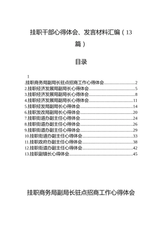 挂职干部心得体会、发言材料汇编（13篇）