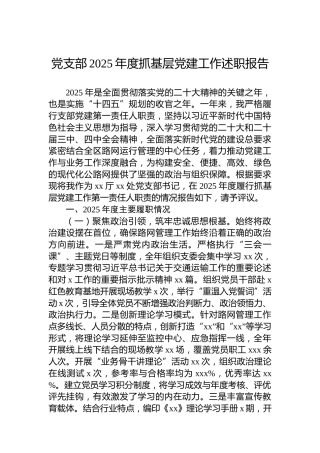 党支部2025年度抓基层党建工作述职报告