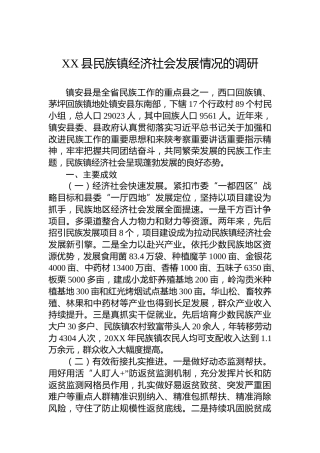 XX县民族镇经济社会发展情况的调研