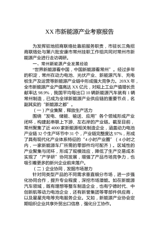 XX市新能源产业考察报告